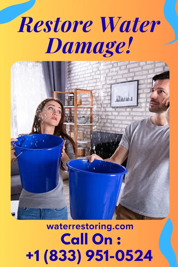 water restoration Pro Water Solutions Experts Hillview
