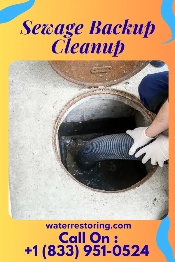 Sewage Backup Cleanup in Hillview, KY