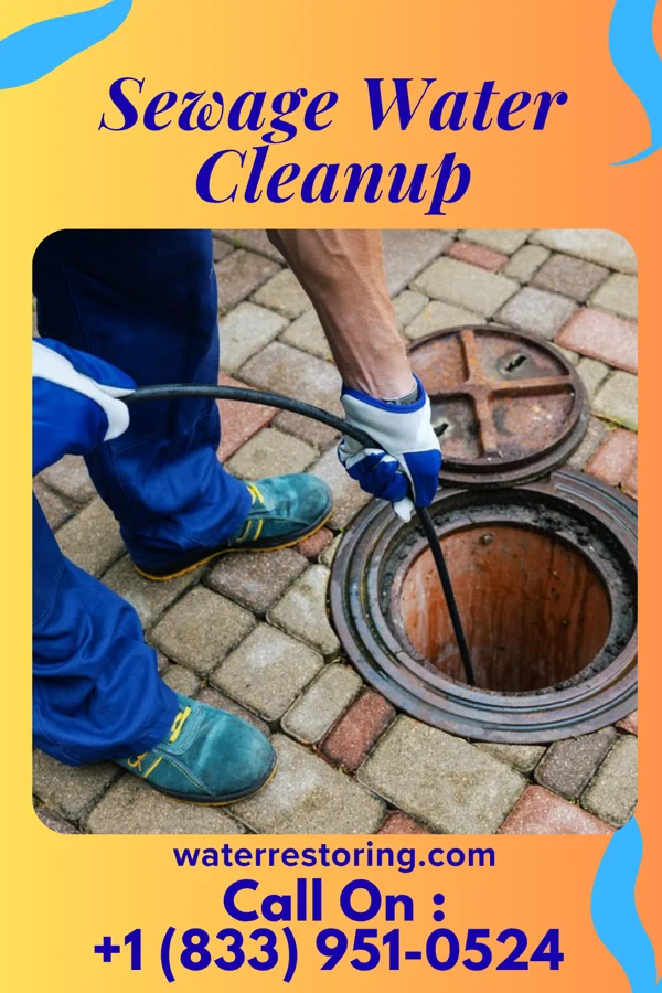 Sewage Water Cleanup in Hillview, KY